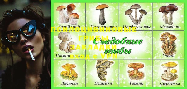 молекула духа Баксан