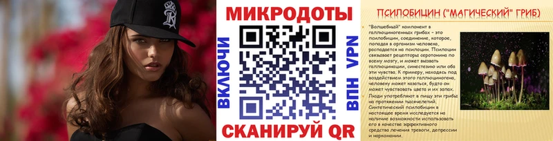 Псилоцибиновые грибы мицелий  Заполярный 